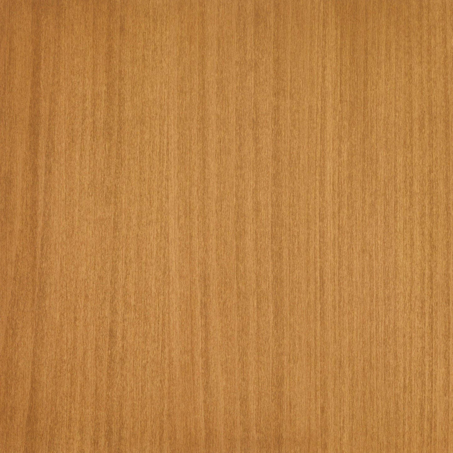 Beech