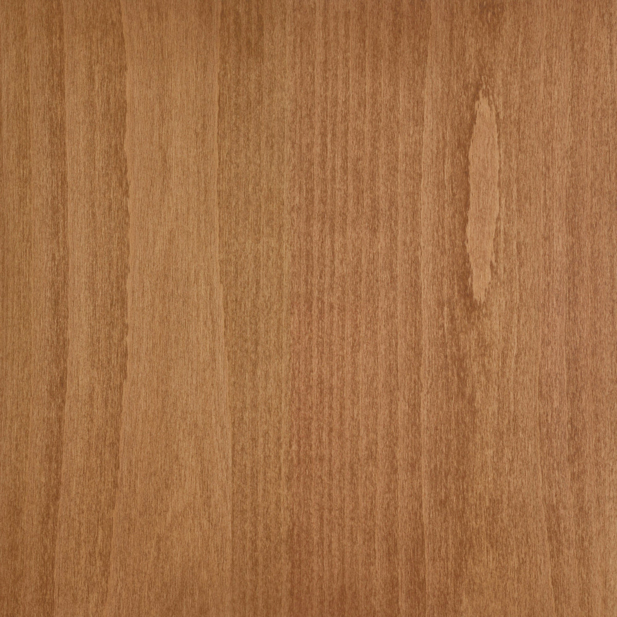 Beech