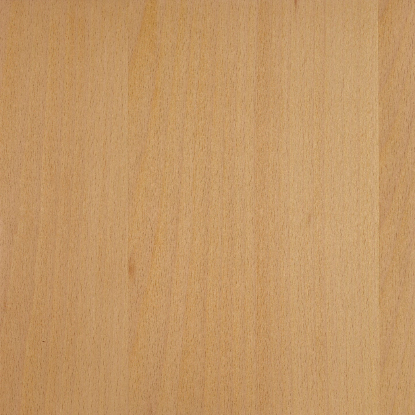 Beech