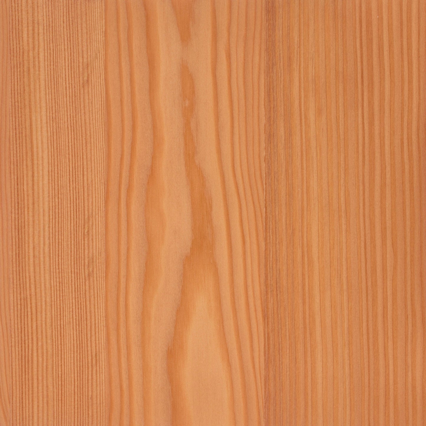 Larch
