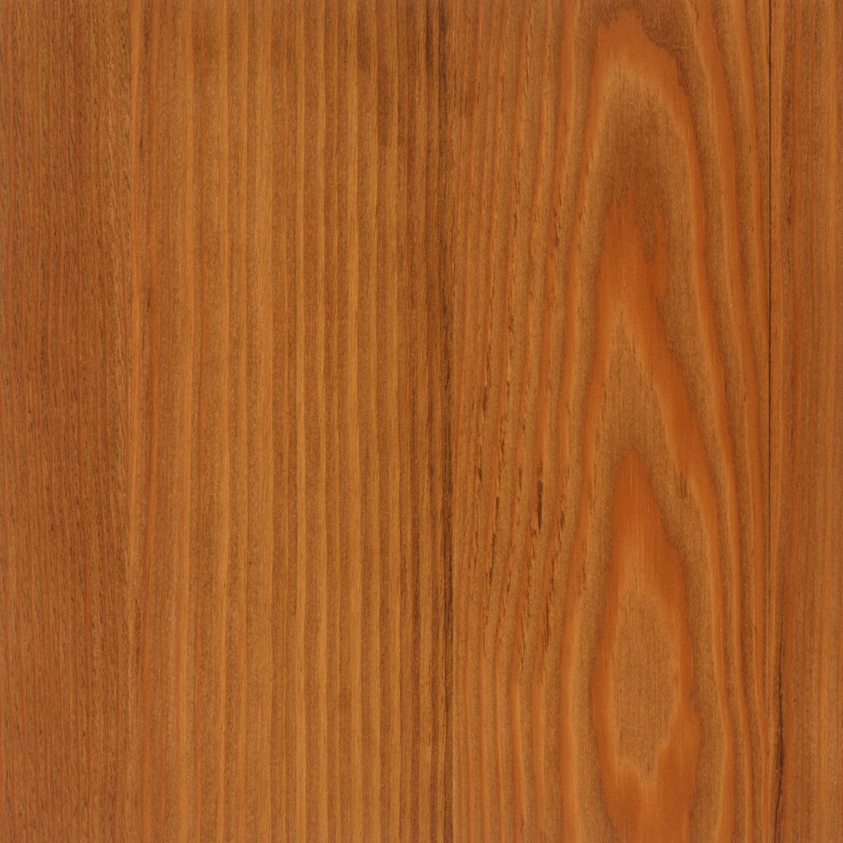 Larch