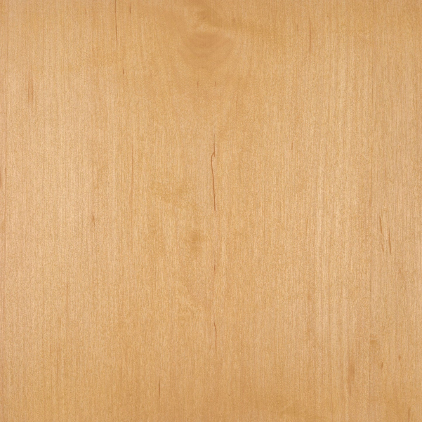 Maple