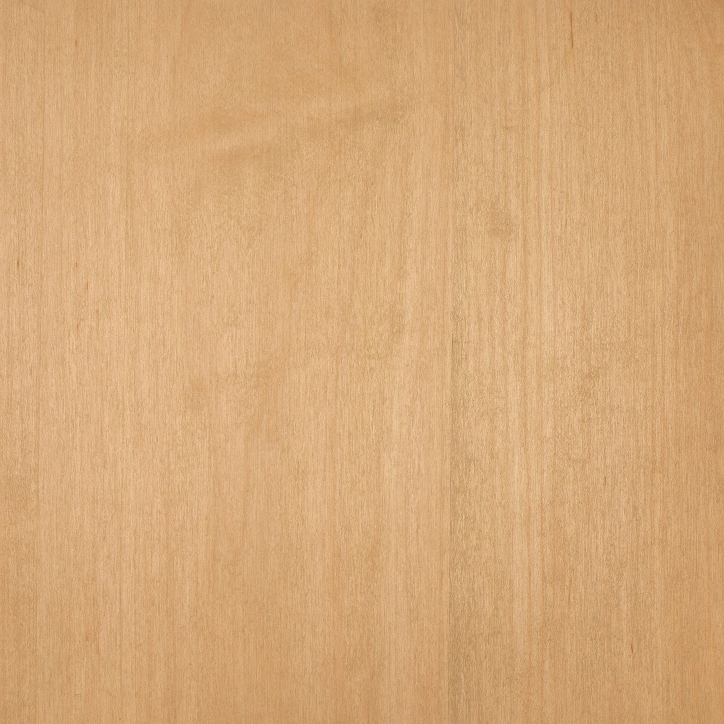 Maple