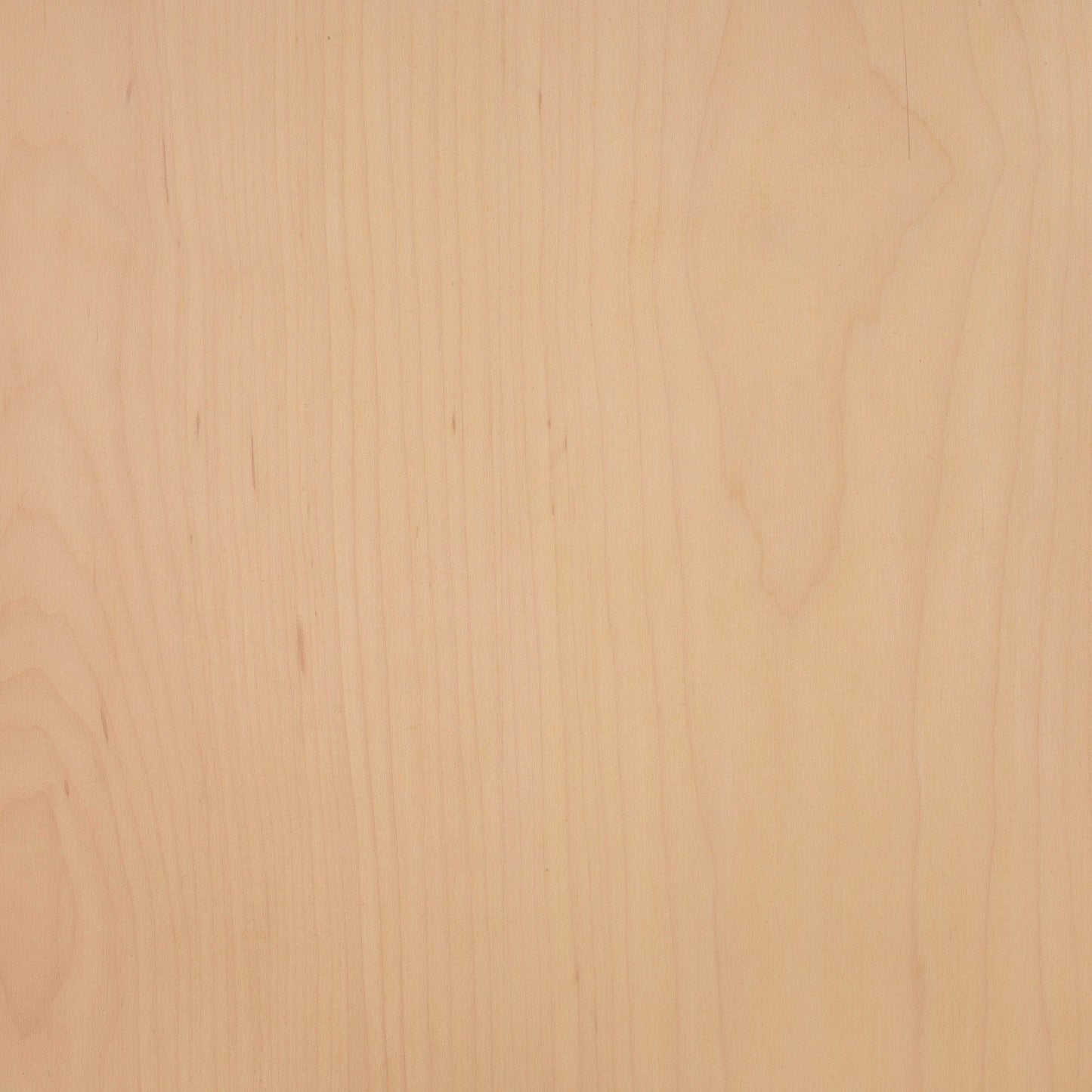 Maple